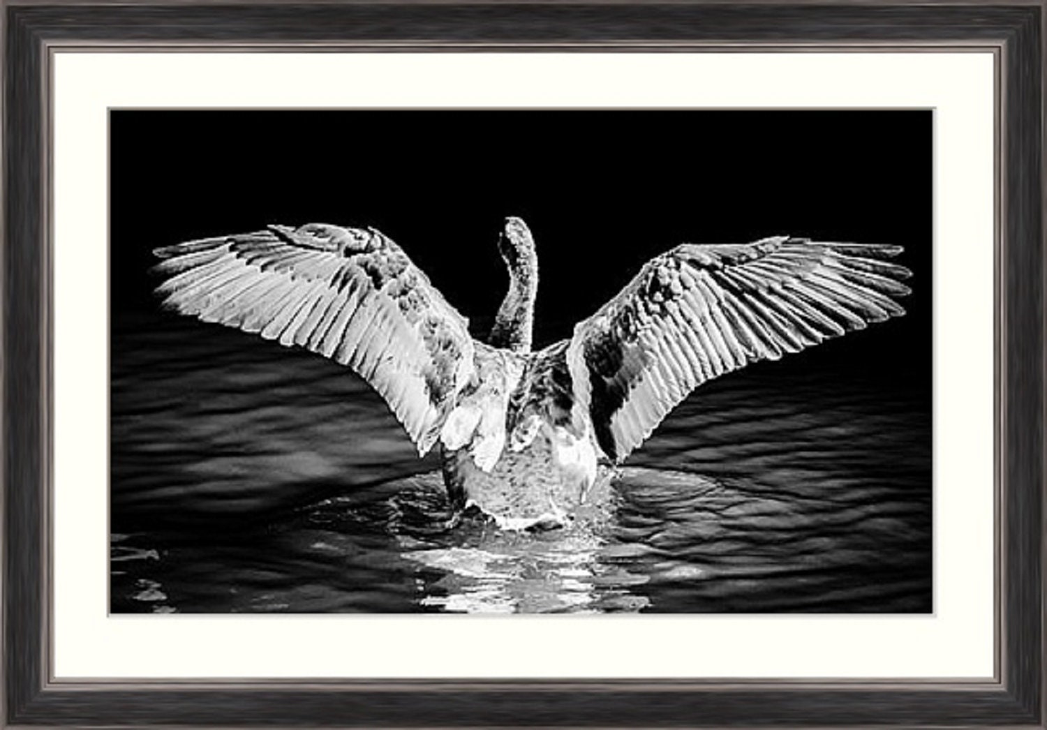 Black and White Framed Limited Edition Photography Print Etsy