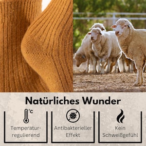 May include: A close-up of a brown wool sock with the text "Nat&uuml;rliches Wunder" in black. The image also shows a group of sheep in a field. Three icons are shown below the text: a thermometer with a degree symbol, a circle with a bacteria inside, and a flame. The text below the icons reads "Temperatur-regulierend", "Antibakterieller Effekt", and "Kein Schweissgef&uuml;hl".