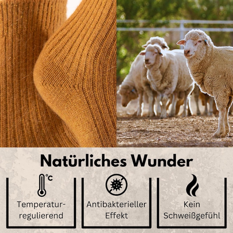 May include: A close-up of a brown wool sock with the text "Nat&uuml;rliches Wunder" in black. The image also shows a group of sheep in a field. Three icons are shown below the text: a thermometer with a degree symbol, a circle with a bacteria inside, and a flame. The text below the icons reads "Temperatur-regulierend", "Antibakterieller Effekt", and "Kein Schweissgef&uuml;hl".
