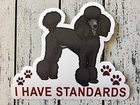 Standard Miniature Poodle Head Silhouette Car Bumper Laptop Vinyl Decal Sticker