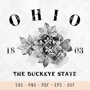 Ohio, ohio svg, us states, us states svg, us states outline, svg files for laser, svg files for shirts, svg files for cricut, outline, png