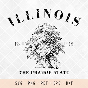 Illinois, illinois svg, stati degli stati uniti, stati degli stati uniti svg, contorno degli stati degli stati uniti, file svg per laser, file svg per magliette, file svg per cricut, png