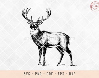 Cervo dalla coda bianca, caccia al cervo, cervo svg, caccia al cervo dalla coda bianca, caccia svg, file svg per laser, file svg per magliette, file svg per cricut, png