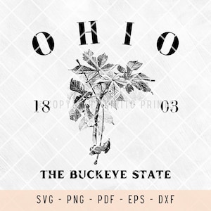 Ohio, ohio svg, us states, us states svg, us states outline, svg files for laser, svg files for shirts, svg files for cricut, outline, png