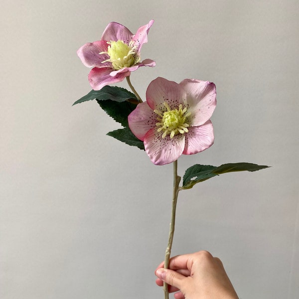 Realistic Pink Christmas Rose Hellebore Foliage Flower Bouquets & Arrangements Display in a Bunch or as Part of Cake Baking Wreath Making