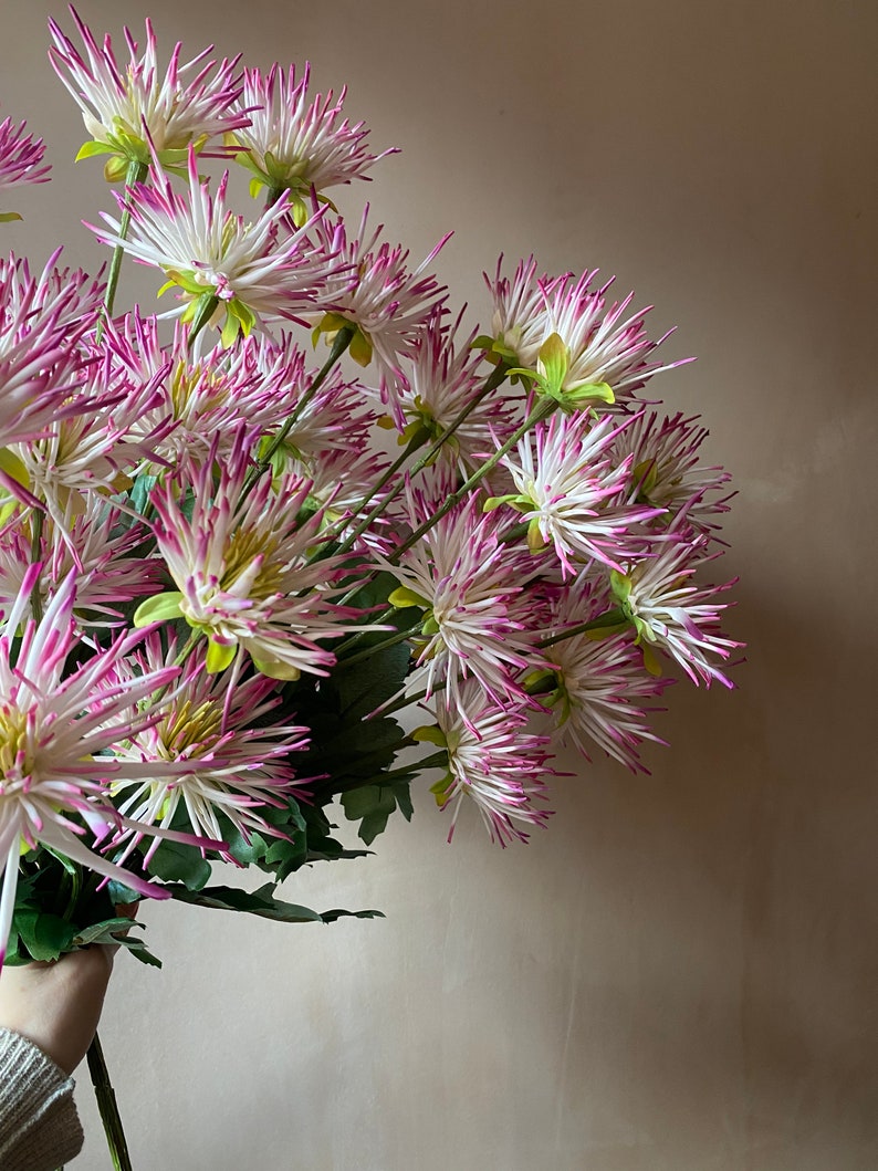 Real touch Latex white and pink variated Artificial Chrysanthemum stem immagine 2