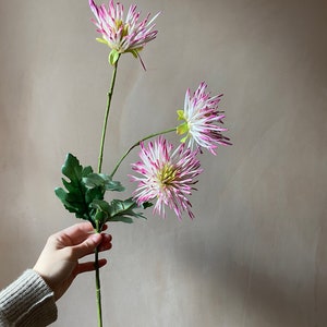 Real touch Latex white and pink variated Artificial Chrysanthemum stem immagine 4