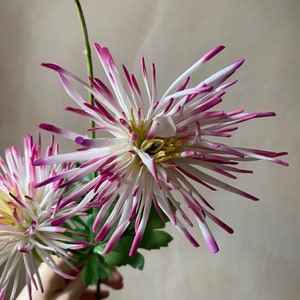 Real touch Latex white and pink variated Artificial Chrysanthemum stem immagine 5