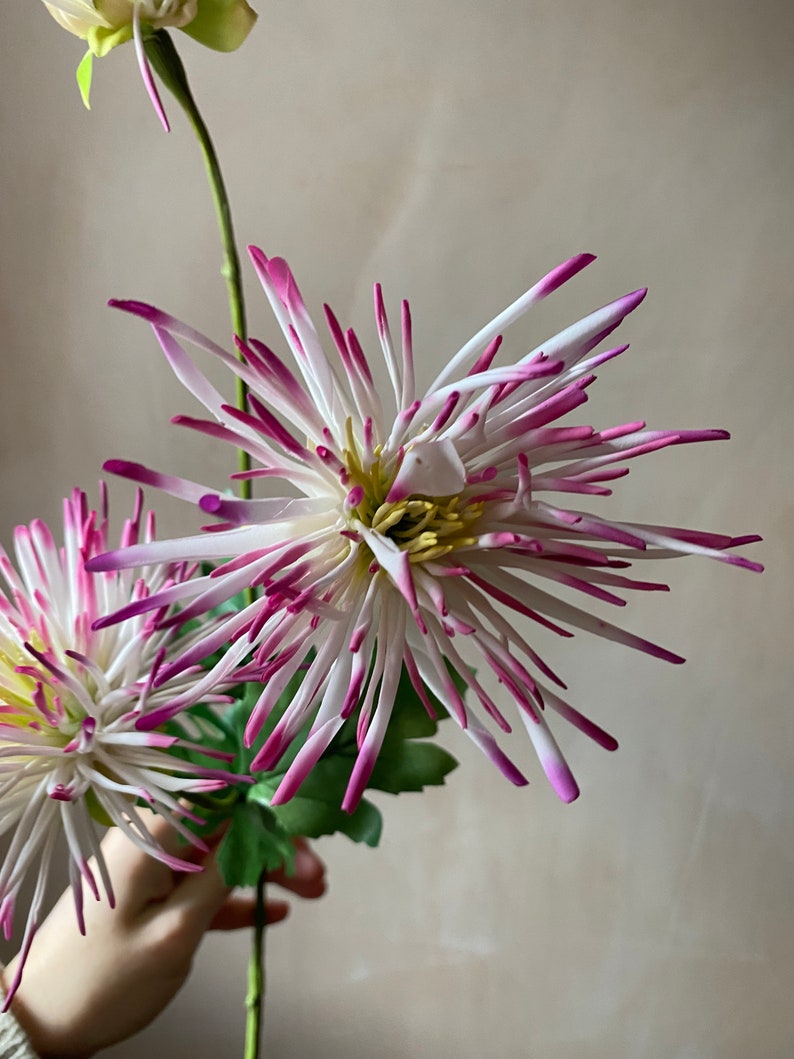 Real touch Latex white and pink variated Artificial Chrysanthemum stem immagine 5