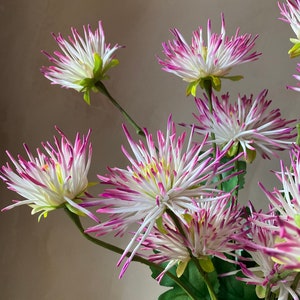 Real touch Latex white and pink variated Artificial Chrysanthemum stem immagine 3
