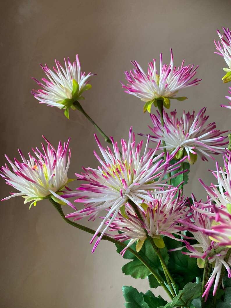 Real touch Latex white and pink variated Artificial Chrysanthemum stem immagine 3