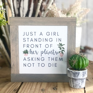 Crazy Plant Lady Sign, Plant Lover Birthday Sign, Plant Lady Decor, Small Wood Signs, Office Decor, Plant Decor Gift, Bog Road Designs