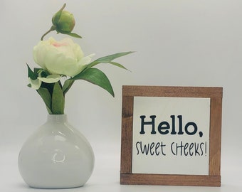 Puede incluir: Un jarrón de cerámica blanco con una sola flor blanca y rosa y hojas verdes. El jarrón está sobre una superficie blanca delante de un letrero de madera con el texto "Hello. Sweet Cheeks!"