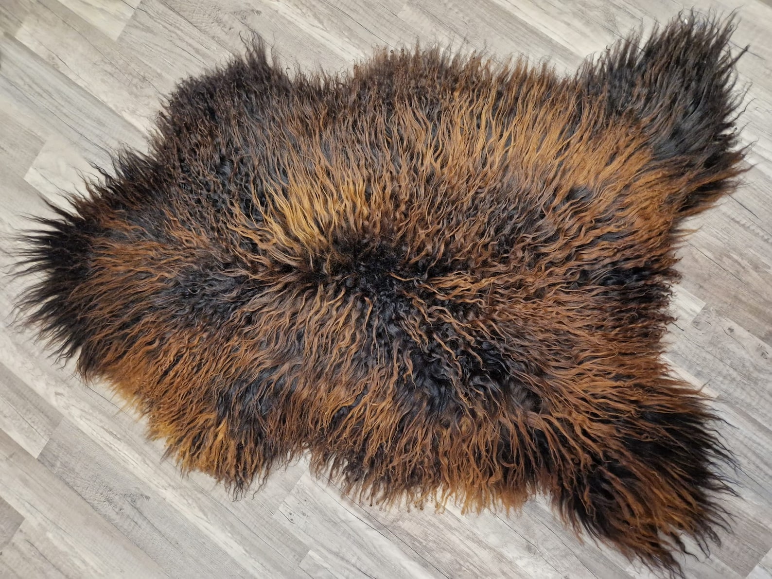 Curly Black/rusty Brown Color Genuine Sheepskin Rug 100% Sheep Skin ...