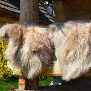 Beige Icelandic Dyed Genuine Sheepskin Lambskin Sheep skin rug pelt long wool soft throw, schaffell, Hygge