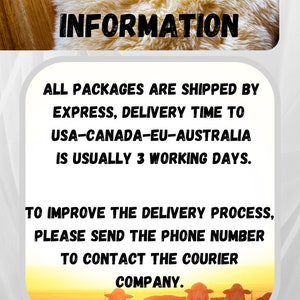 May include: Image with the text "DELIVERY INFORMATION". The text is above a white and beige fluffy surface. Below the text is a white box with text that reads "ALL PACKAGES ARE SHIPPED BY EXPRESS, DELIVERY TIME TO USA-CANADA-EU-AUSTRALIA IS USUALLY 3 WORKING DAYS."