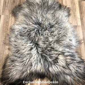 May include: A sheepskin rug with a natural, shaggy texture. The rug features a blend of gray, white, and black tones, creating a soft, textured appearance. The words "Exclusive Sheepskin" are printed on the bottom of the rug.