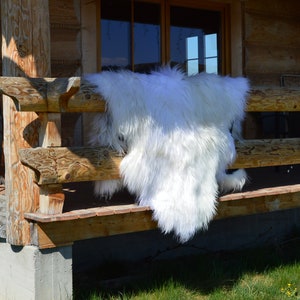 Natural Genuine Icelandic Sheepskin rug carpet 100% Sheep Skin, Decorative Rug Comfy, Giant Sheepskin throw, schaffell, Hygge
