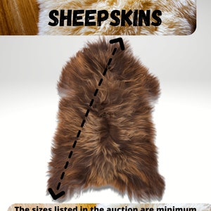 May include: A brown and tan sheepskin rug with a measurement guide. The text reads "HOW WE MEASURE SHEEPSKINS". The bottom text states "The sizes listed in the auction are minimum measurements, sheepskins can be larger. Sheepskins are always measured with hair."