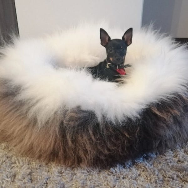A dog bed, sheepskin, long wool, for your dog or cat, bed, house animals, gift for dog or cat. PET GIFT., schaffell, Hygge
