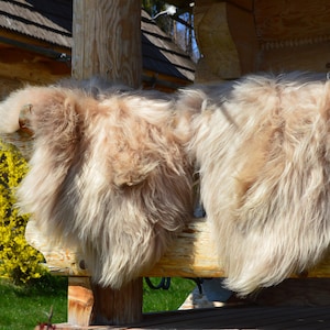 Gorgeous Genuine Icelandic Dyed Sheepskin Lambskin Sheep skin rug pelt, schaffell, Hygge