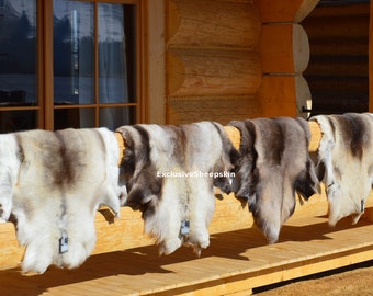Giant Reindeer Rug Decorative hide of Scandinavian Reindeer, Damaged, Caribou hide, Size XXL, schaffell, Hygge
