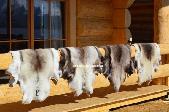 Giant Reindeer Rug Decorative Hide of Scandinavian Reindeer Caribou Hide Size XXL Schaffell Hygge Etsy