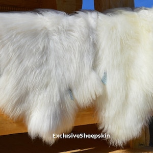 Icelandic White Genuine Sheepskin Lambskin Lvory, schaffell, Hygge