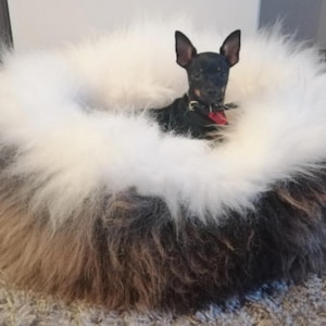 A dog bed, sheepskin, long wool, for your dog or cat, bed, house animals, gift for dog or cat. PET GIFT., schaffell, Hygge