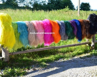 Op de afbeelding: Een verzameling kleurrijke schapenvacht tapijten uitgestald op een houten hek. De tapijten zijn in verschillende levendige kleuren, waaronder geel, groen, blauw, roze, oranje en paars. De tekst "Exclusive Sheepskin" is zichtbaar.
