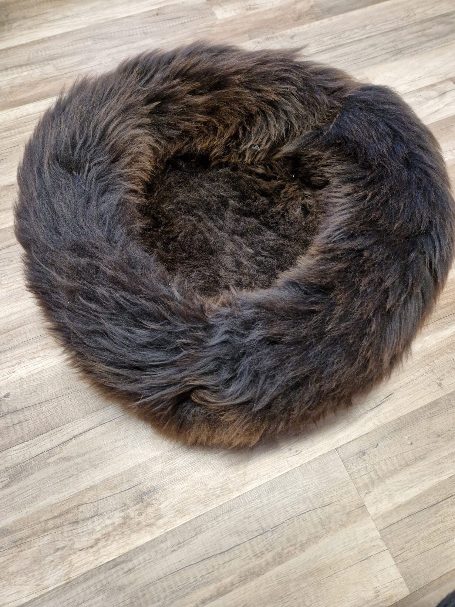 A dog bed, sheepskin, long wool, for your dog or cat, bed, house animals, gift for dog or cat. PET GIFT., schaffell, Hygge