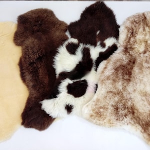 Op de afbeelding: Vier schapenvachtkleden naast elkaar gerangschikt. De collectie bevat een effen lichtbeige kleed, een effen donkerbruin kleed, een wit kleed met donkerbruine vlekken en een kleed met een gevlekte mix van crème en lichtbruine vachtstructuren.