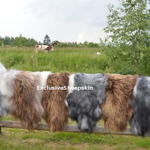 Natural 3 color Genuine Sheepskin rug 100% Sheep Skin Leather Sheep Skin Decorative Rug Comfy, Area Rugs Carpet Outdoor Rug long wool