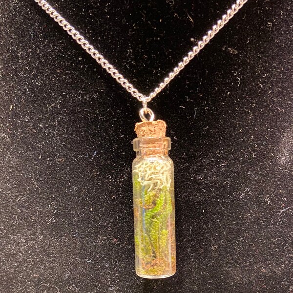Terrarium Necklace Etsy