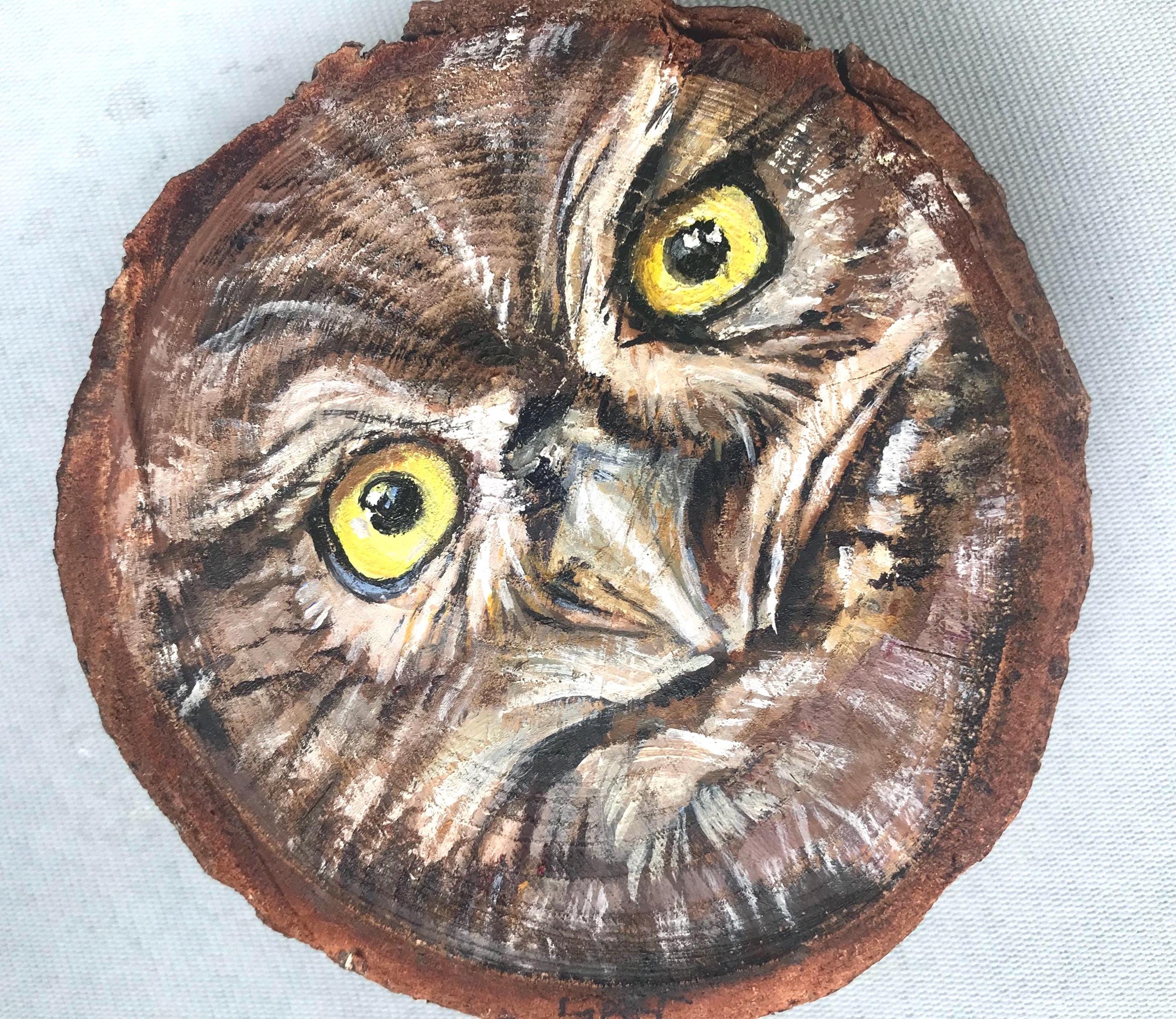 Little owl portrait : painted on natural wood