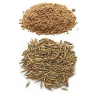 Indrajav Powder -Holarrhena Pubescens - 100gm 100% Pure & Natural  Uk Seller
