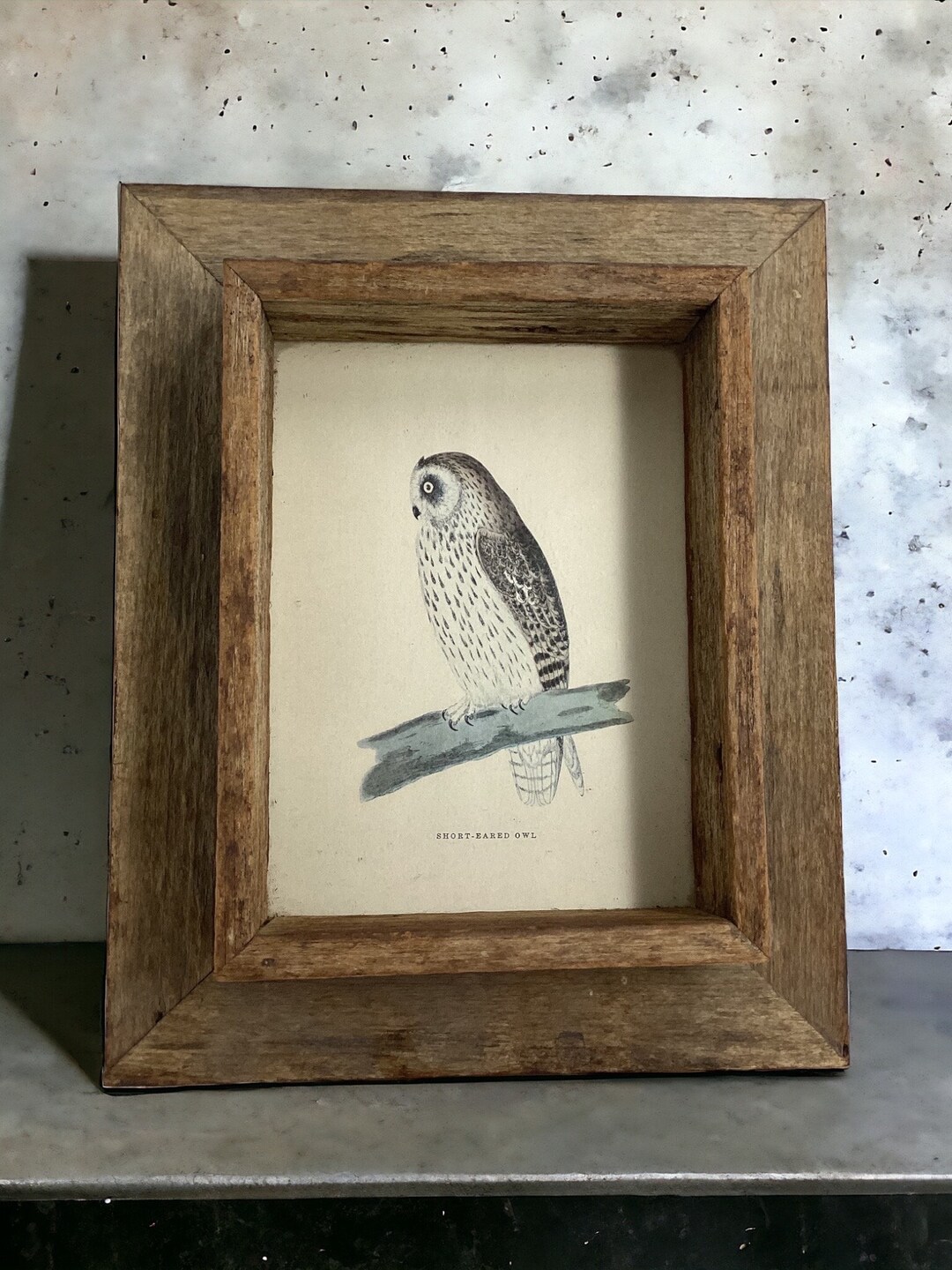 Rustic Owl Vintage 1970s Rustic Owl Art Barn Wood Shadowbox Framed - Etsy