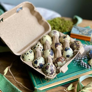Twelve Blown Natural Quail Eggs || Easter || Crafts || Decorations