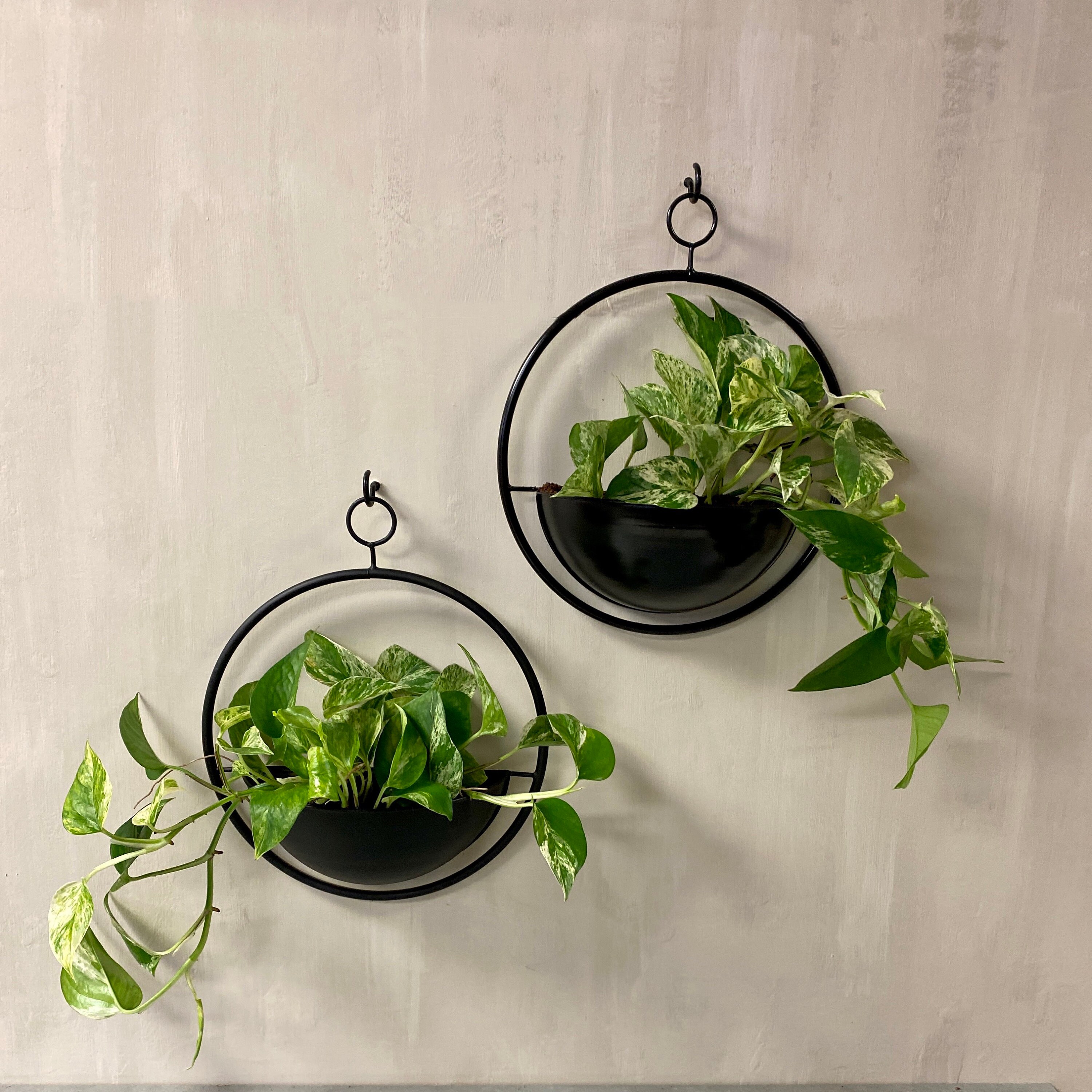 Hanging Metal Wall Planter