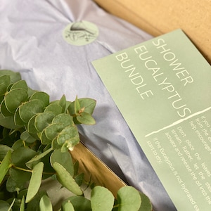 Shower Eucalyptus Bundle - Fresh Cut Eucalyptus - Etsy