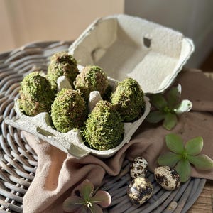 Boxed Mossed Eggs