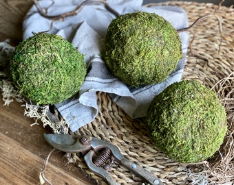 Three Dried Moss Spheres || Balls