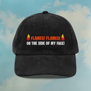 May include: Black corduroy baseball cap with the text "FLAMES! FLAMES! ON THE SIDE OF MY FACE!" in white and orange. The cap has a curved brim and a button on top. The background is a blue sky with clouds.