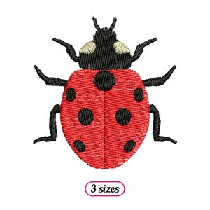 Peut inclure: Coccinelle rouge avec des points noirs et une tête noire. La coccinelle a six pattes et est dans un style cartoon.
