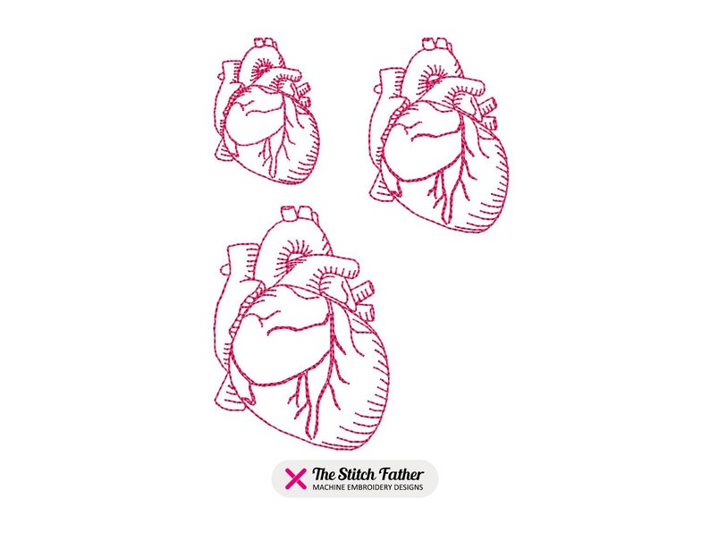 Mini Human Heart Machine Embroidery Design – Human Anatomy Heart ...