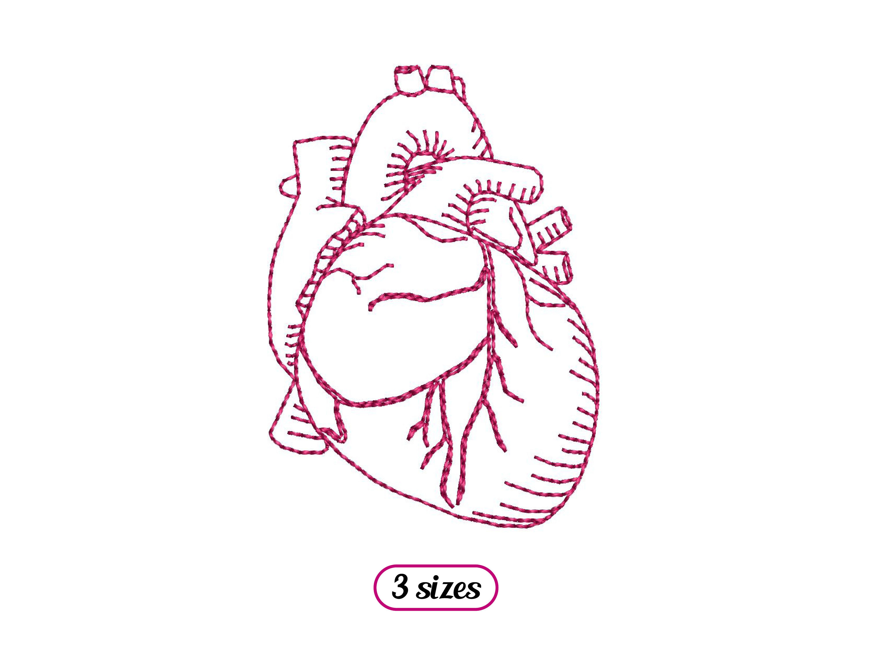 Mini Human Heart Machine Embroidery Design – Human Anatomy Heart ...