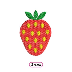 May include: Red strawberry with yellow seeds and green leaves. The strawberry is embroidered with a textured design. 3 sizes.