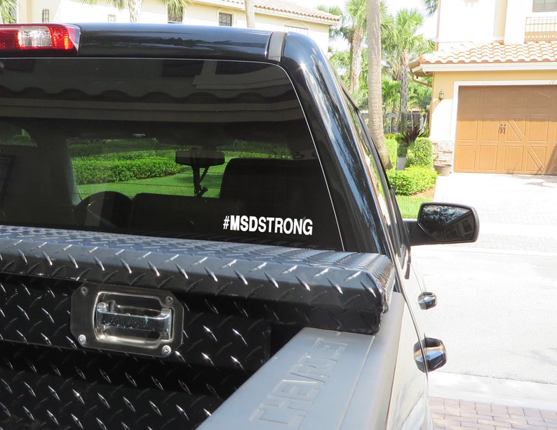 Peut inclure: Un camion pick-up noir avec une bo&icirc;te &agrave; outils en t&ocirc;le diamant&eacute;e dans la benne. La lunette arri&egrave;re est orn&eacute;e d'un autocollant blanc qui dit "#MSDSTONG".