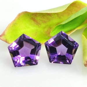 May include: Two faceted, pentagon-shaped amethyst gemstones. The gems are a deep purple color with multiple facets that catch the light. The gemstones are set against a white background with green and yellow leaves.
