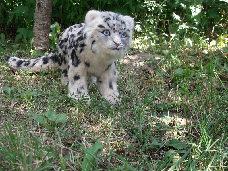 Snow Leopard Needle Felted Snow Leopard Felt Cat Needle - Etsy